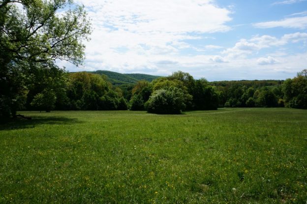 Wiese im Schwarzenbergpark